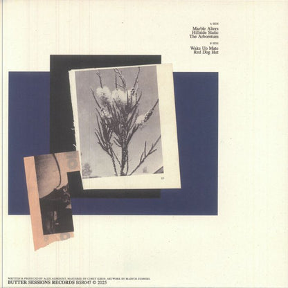Alex Albrecht – The Arboretum (12", Butter Sessions, 2025) back cover