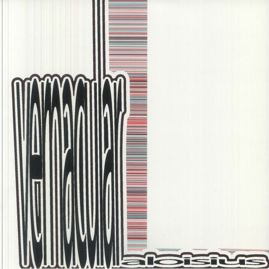 Aloisius – vernacular (LP, life is beautiful records, 2026) Front Cover