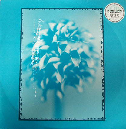 Placid Angles – The Cry (2xLP, Peacefrog Records, 1997) Front Cover