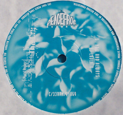 Placid Angles – The Cry (2xLP, Peacefrog Records, 1997) Image 5