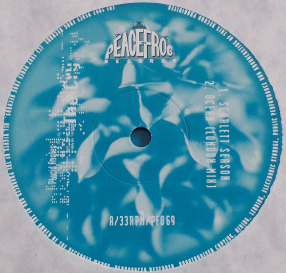 Placid Angles – The Cry (2xLP, Peacefrog Records, 1997) Image 3