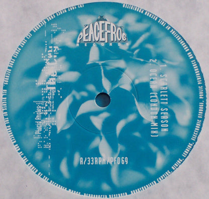 Placid Angles – The Cry (2xLP, Peacefrog Records, 1997) Image 3