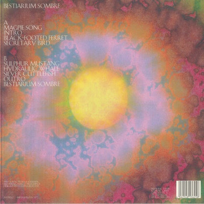 Anastasia Kristensen – Bestiarium Sombre (LP, translucent green marbled, Intercept, 2026) Back Cover