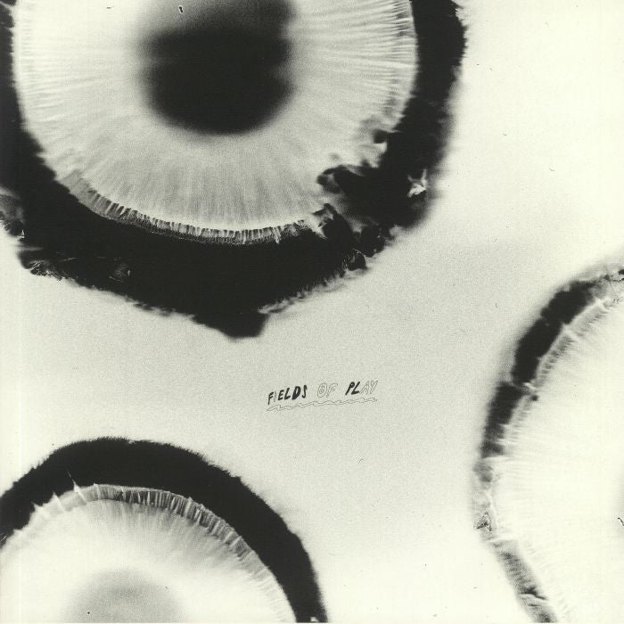 Anatta – Fields Of Play (12", limited, The Magic Movement, 2020) Front Cover