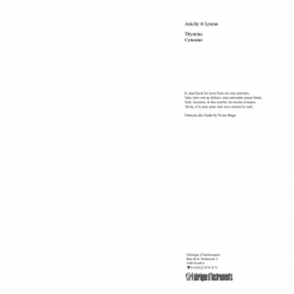 Anichy/Lyemn – Anichy & Lyemn (12", Fabrique D'Instruments, 2026) Back Cover