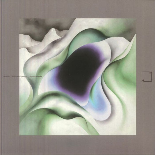 Anthony Calonico – Spacious Heart (LP, Music From Memory, 2026) Front Cover