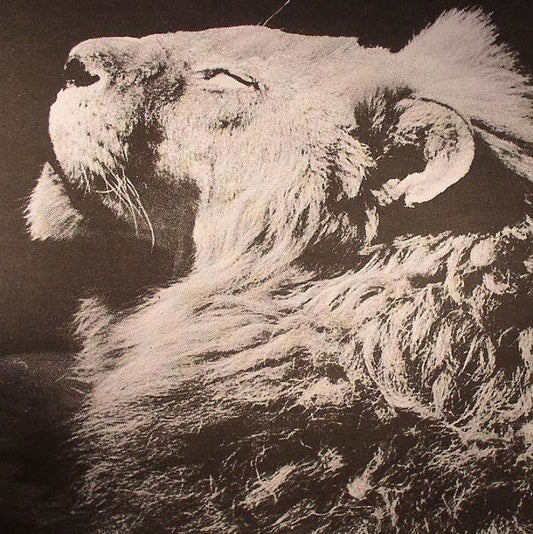 Anthony Naples – El Portal (12", The Trilogy Tapes, 2013) Front Cover