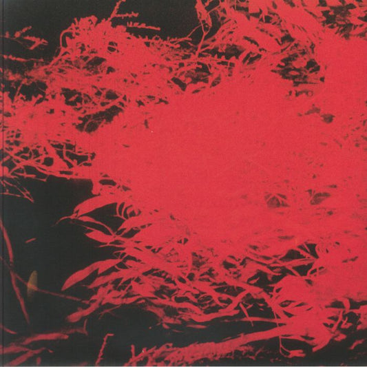 Anthony Naples – In Studio Magic (12", ANS, 2026) Front Cover