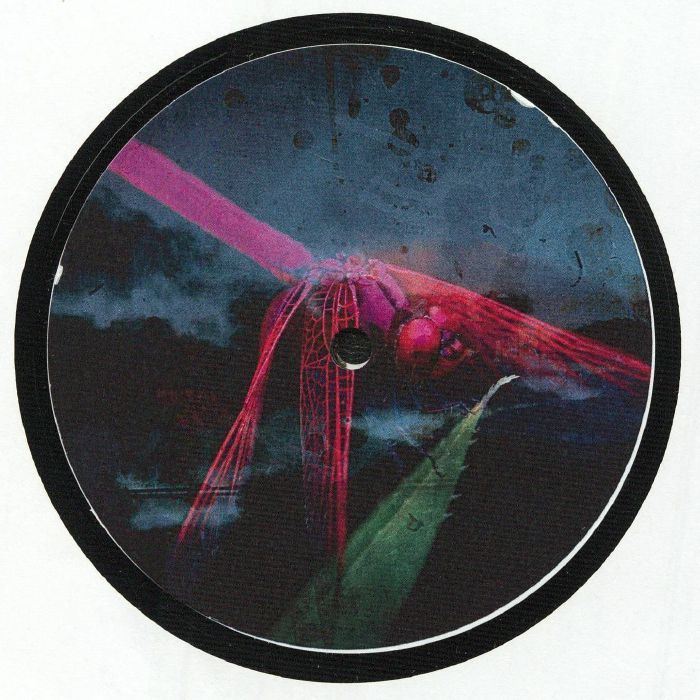 Arsonist Recorder / Sigma_ALgebra – Arkada #005 (12", Arkada Records, 2026) Back Cover