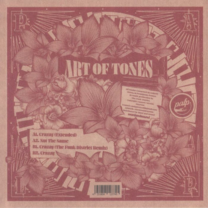 Art Of Tones – Crazay / Not The Same (12", Palp, 2022) Back Cover