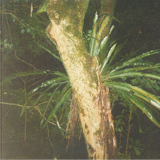 Artefakt & Maayan Nidam – Collaborations II (12", De Stijl, 2025) front cover