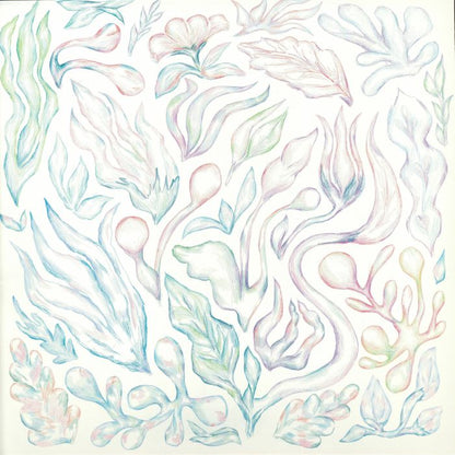 Auntie Flo / Various – Plants Can Dance (LP, white 26 page booklet, A State Of Flo, 2026) Front Cover