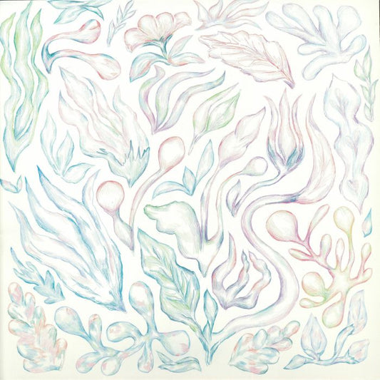 Auntie Flo / Various – Plants Can Dance (LP, white 26 page booklet, A State Of Flo, 2026) Front Cover