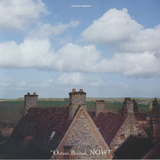 Axefield – Ostuni Bound NOW! (LP, Intercept, 2026) Front Cover