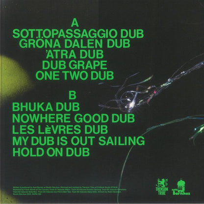 Axel Boman X Trensum Tribe – Luz / Quest For Fire In Dub! (12", Studio Barnhus, 2026) Back Cover
