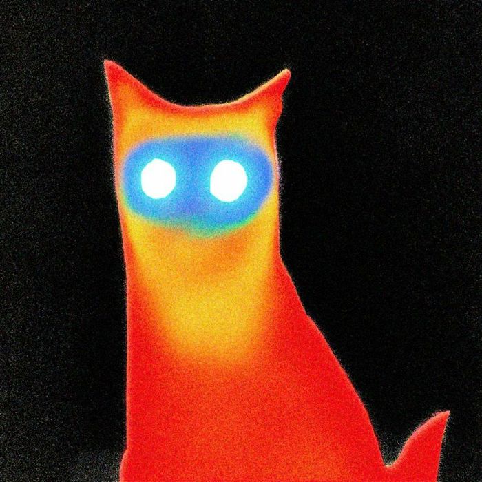 Basement – Wired (LP, Coke Bottle Clear, Run For Cover Records, 2025) Back Cover