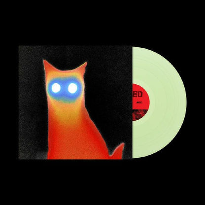 Basement – Wired (LP, Coke Bottle Clear, Run For Cover Records, 2025) Front Cover