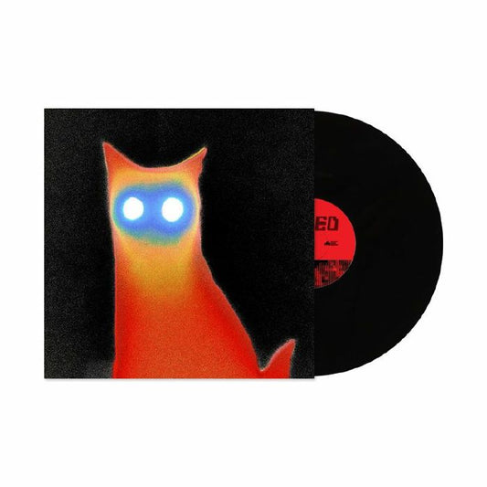 Basement – Wired (LP, Run For Cover, 2026) Front Cover