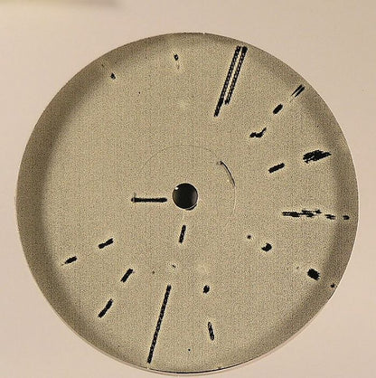 Basic Channel – Radiance (12", Basic Channel, 2025) back cover