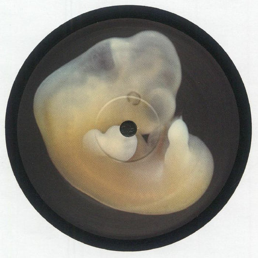 Bergqvist – Earth Creatures (12", Aniara Recordings, 2025) Front Cover