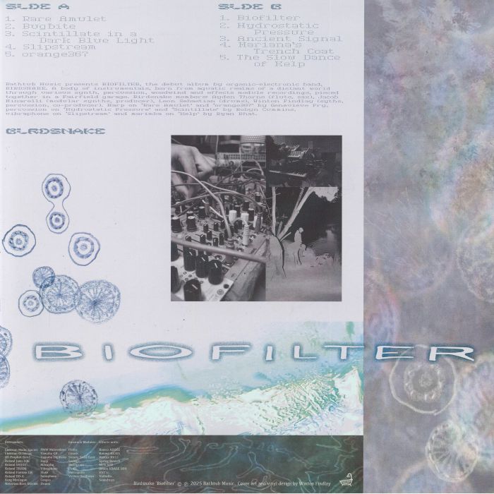 Birdsnake – Biofilter (LP, Bathtub Music, 2025) Back Cover