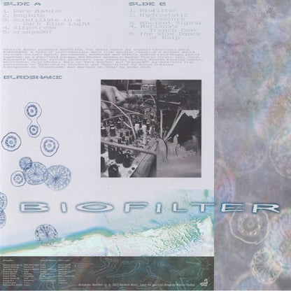 Birdsnake – Biofilter (LP, Bathtub Music, 2025) Back Cover