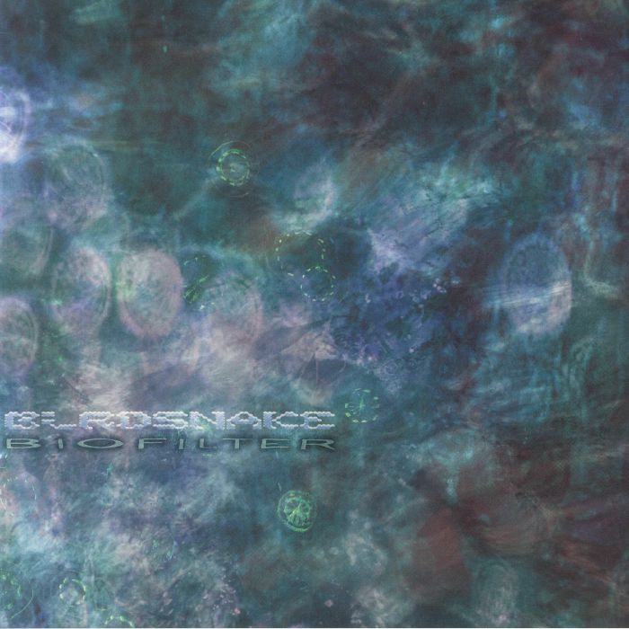 Birdsnake – Biofilter (LP, Bathtub Music, 2025) Front Cover