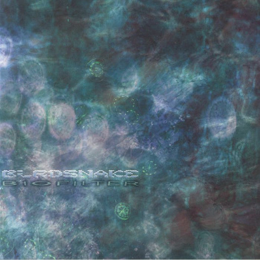 Birdsnake – Biofilter (LP, Bathtub Music, 2025) Front Cover