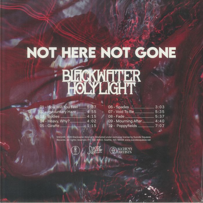 Blackwater Holylight – Not Here Not Gone (LP, limited clear, Suicide Squeeze, 2026) Back Cover
