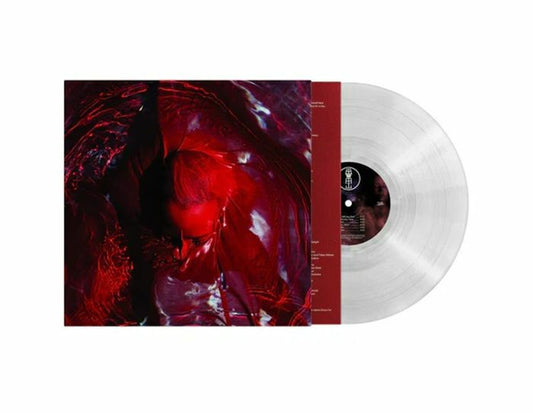 Blackwater Holylight – Not Here Not Gone (LP, Suicide Squeeze, 2026) Front Cover