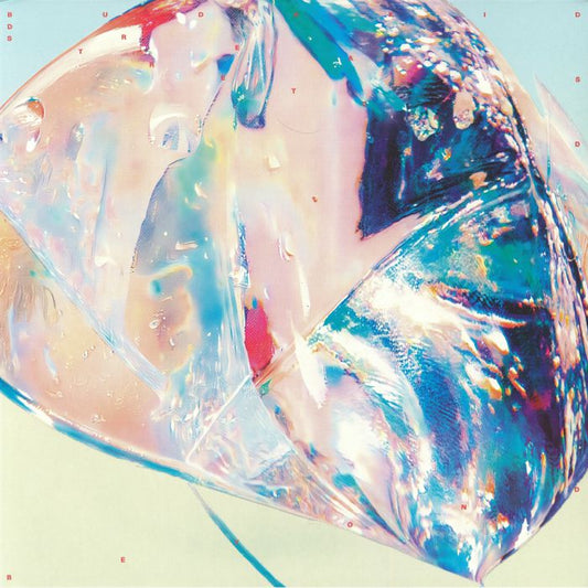 Budakid – Dreams Stretched Beyond (2x12", Gatefold, Atomnation, 2026) Front Cover