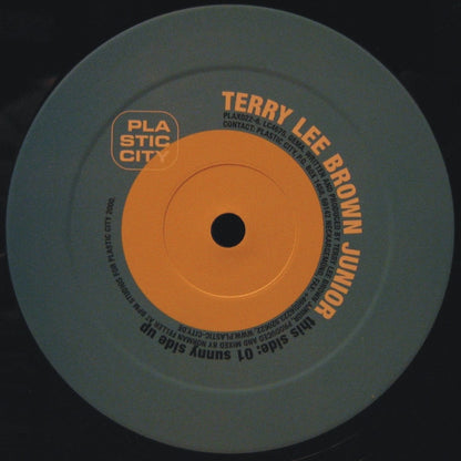 Terry Lee Brown Junior – Sunny Side Up (12", Plastic City, 2000) Image 3