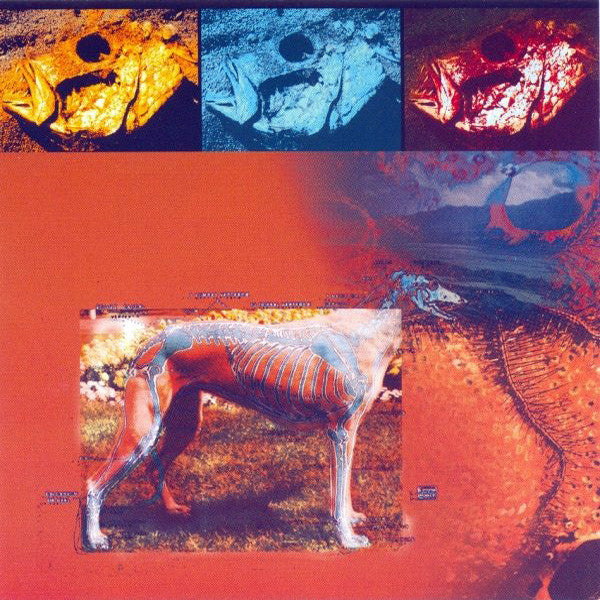 Anthony Manning – Chromium Nebulae (2xLP, Irdial Discs, 1996) Front Cover
