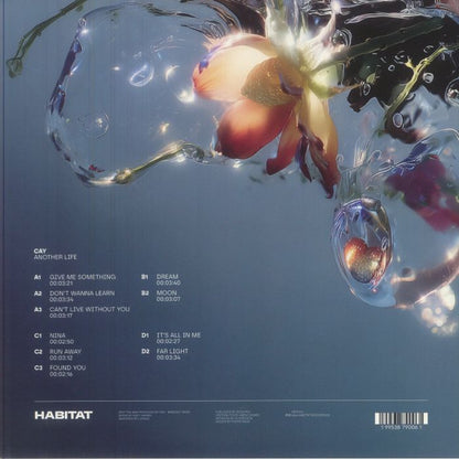 CAY – Another Life (LP, 2 LP, Habitat Recordings, 2026) Back Cover