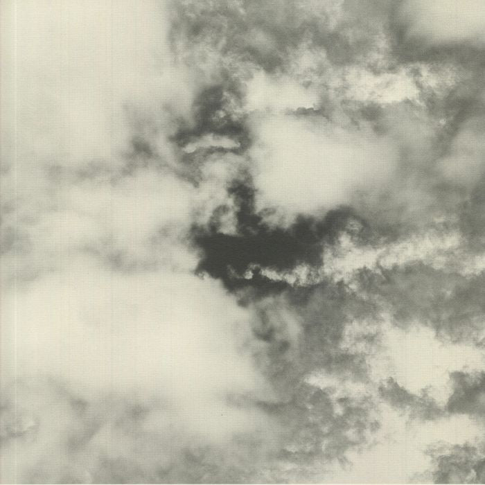Christopher Ledger & Pressure Point / Pîrvu / Sublee – Family Jubilee III (12", 180gram, Meander, 2021) Front Cover