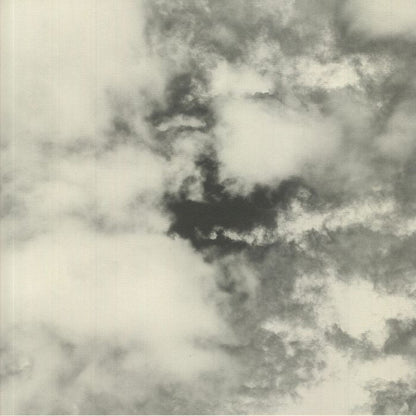 Christopher Ledger & Pressure Point / Pîrvu / Sublee – Family Jubilee III (12", 180gram, Meander, 2021) Front Cover