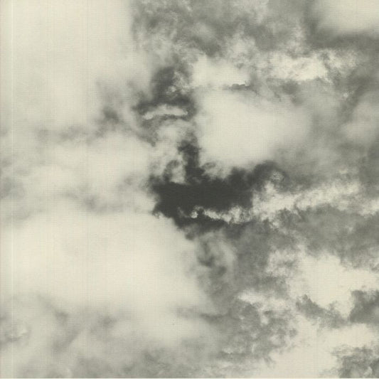 Christopher Ledger & Pressure Point / Pîrvu / Sublee – Family Jubilee III (12", 180gram, Meander, 2021) Front Cover