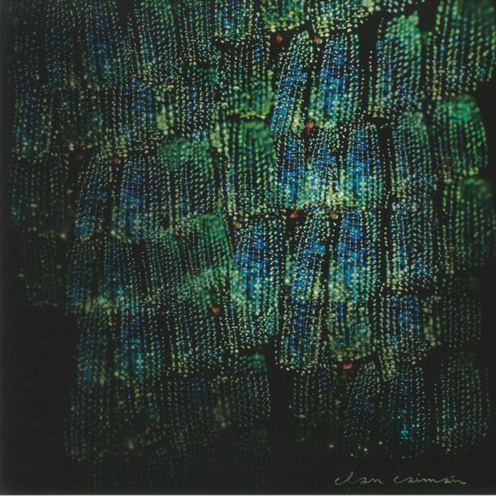 Clan Caimán – Asoma (LP, EM Records, 2025) front cover