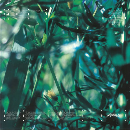 Command D – Esc (12", Animalia, 2024) Back Cover