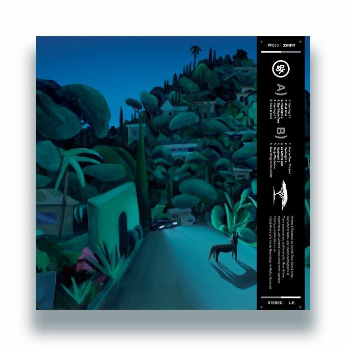 Coyote – Nyabinghi (LP, Pinchy & Friends, 2026) Back Cover
