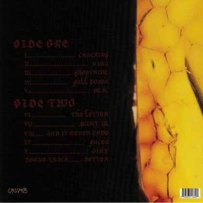 Crumb – Jinx (LP, Not On Label (Crumb Self-released), 2019) Back Cover