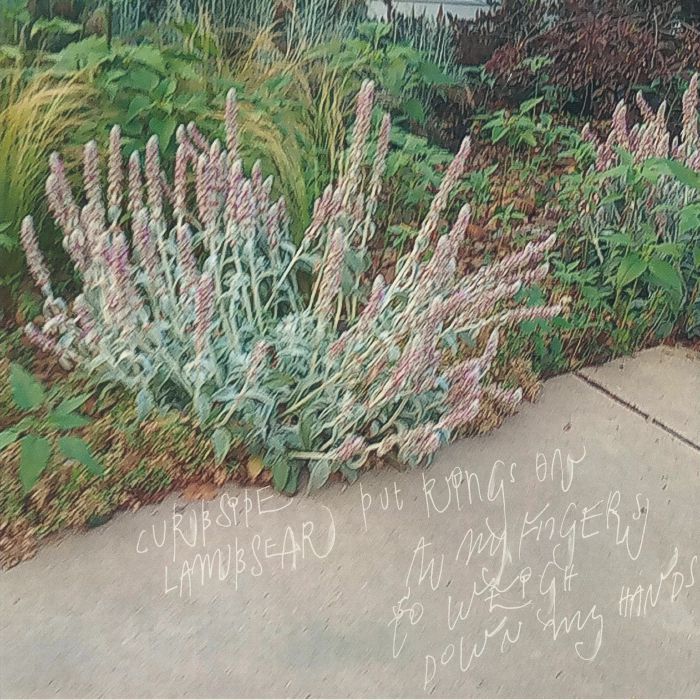 Curbside Lambsear – Put Rings On All My Fingers To Weigh Down My Hands (12", Scenic Route, 2026) Front Cover