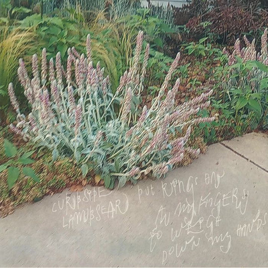 Curbside Lambsear – Put Rings On All My Fingers To Weigh Down My Hands (12", Scenic Route, 2026) Front Cover