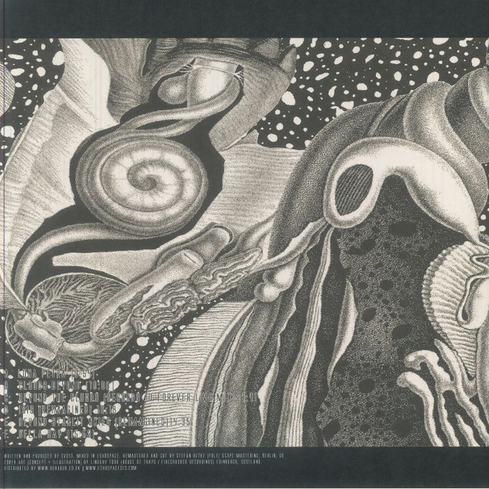 cv313 – Dimensional Space (Remastered) (3xLP, Clear, echospace [detroit], 2025) Back Cover
