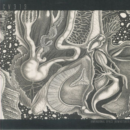 cv313 – Dimensional Space (Remastered) (3xLP, Clear, echospace [detroit], 2025) Front Cover