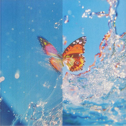 Daphni – Butterfly (2xLP, Jiaolong, 2026) Back Cover