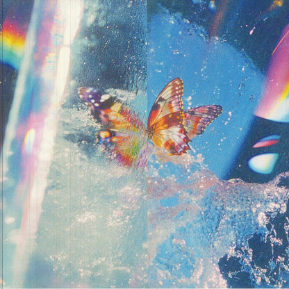 Daphni – Butterfly (2xLP, Jiaolong, 2026) Front Cover