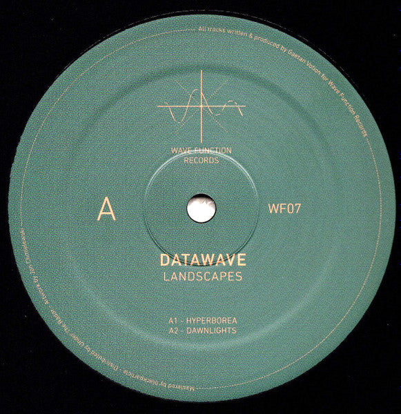Datawave – Landscapes (12", Wave Function Records, 2025) image 01