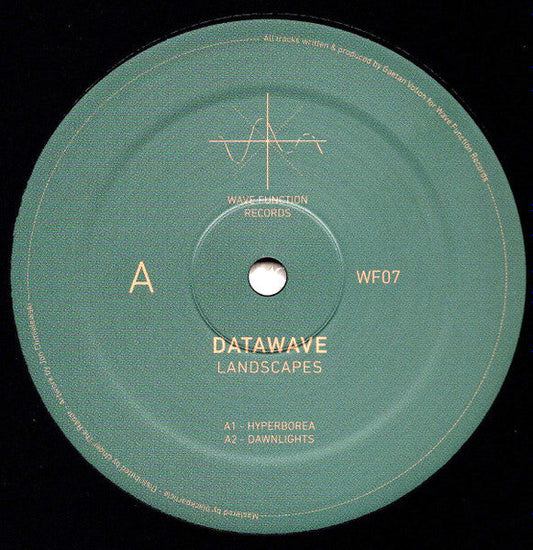 Datawave – Landscapes (12", Wave Function Records, 2025) image 01