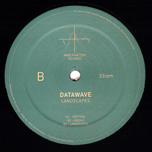 Datawave – Landscapes (12", Wave Function Records, 2025) image 02